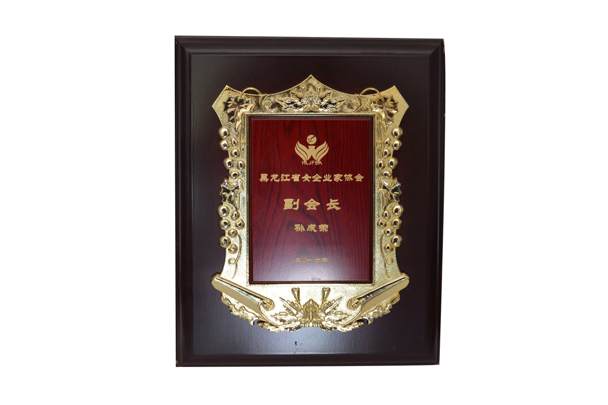 副會(huì )長(cháng)